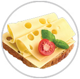 Heidi Ann Lacey Swiss Cheese 4