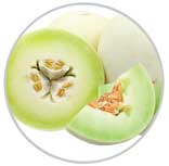 HoneyDew 4