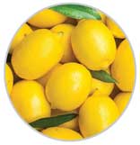 Lemons 21