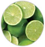 Limes 1