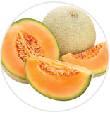 Melon 2