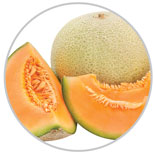 Melon 22