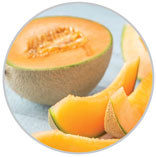 Melon 23