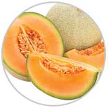 Melon 25