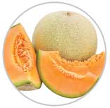 Melon 26