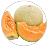 Melons 5