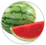 MiniWatermelon