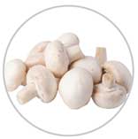 Mushroom 8