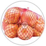 Onion 10