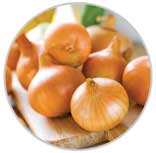 Onion 8