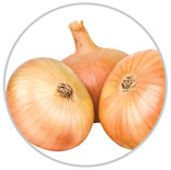 Onions 40
