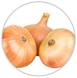 Onions 42