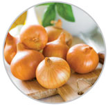 Onions 43
