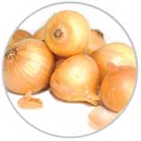 Onions 46