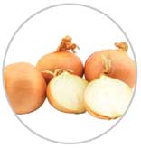 Onions 51
