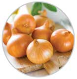 Onions 60