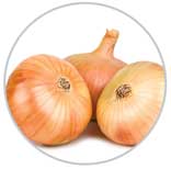 Onions 61