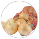 Onions 62