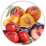 Peaches 11