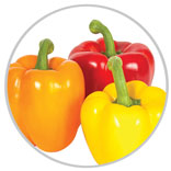 Peppers 34