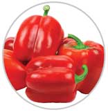 Peppers 51