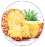 Pineapple 17
