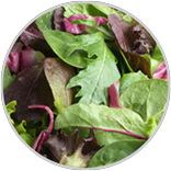 Produce Josies Organics Lettuce Blends