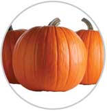 Pumpkin 2