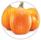 Pumpkin 4