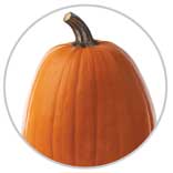 Pumpkin 5