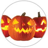Pumpkins 5