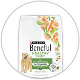 Purina Beneful Dry Dog Food