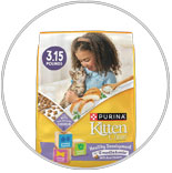 Purina Kitten Chow Dry Cat Food