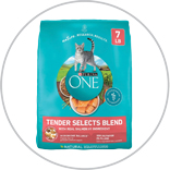 PurinaOneCatFood