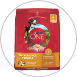 PurinaOneDogFood