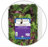 Salad 5