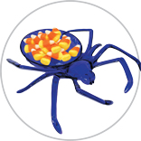 SpiderCandyDish