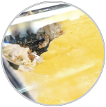 Spring Glen Lemon Cheese Delight