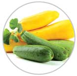 Squash 3