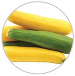 Squash 5