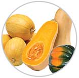 Squash 6