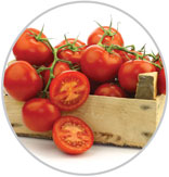 Tomatoes 16