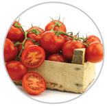 Tomatoes 44