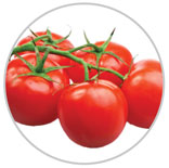 Tomatoes 46
