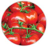 Tomatoes 48