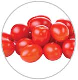Tomatoes 54