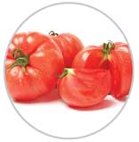 Tomatoes 57