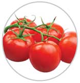 Tomatoes 59