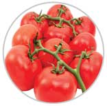 Tomatoes 61