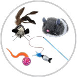 Turbo Cat Toys 1
